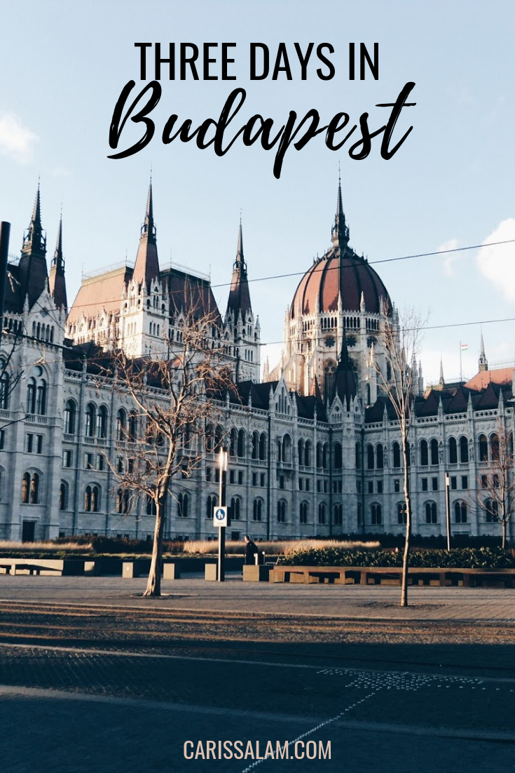 Three Days in Budapest 2 pin