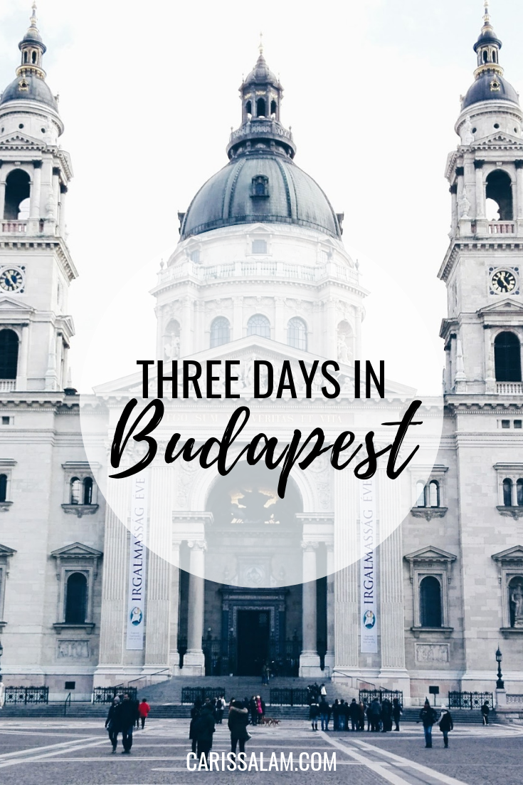 Three Days in Budapest pin